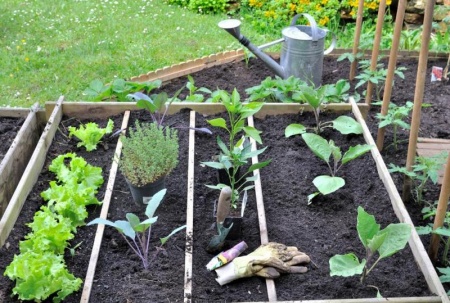 O&ugrave; installer son potager dans un jardin &agrave; Audincourt ?